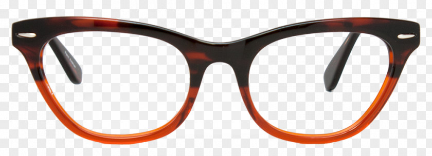 Cat In Glasses Horn-rimmed Eyeglass Prescription Sunglasses Lens PNG