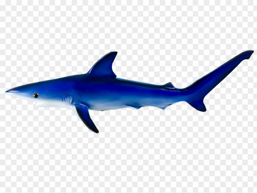 Large Mouth Bass Clip Art Requiem Sharks Image Desktop Wallpaper PNG