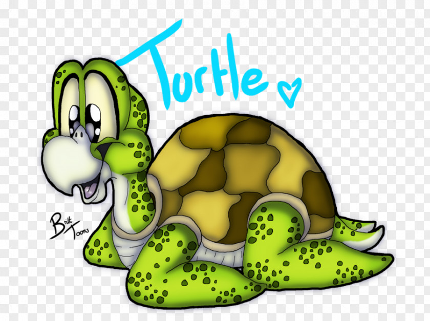 Turtle Tortoise Clip Art PNG