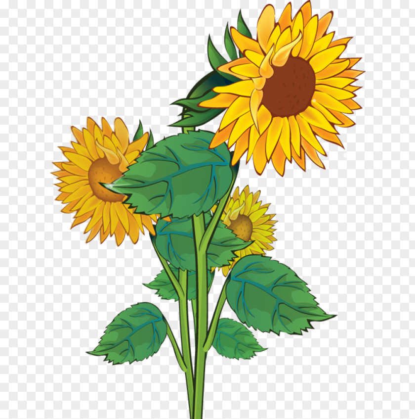 Vintage Sunflower Cliparts Free Content Clip Art PNG