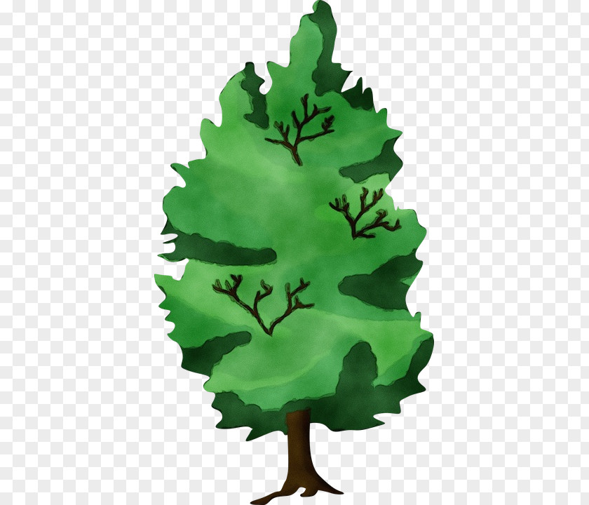 Black Maple Arbor Day Environment Drawing PNG