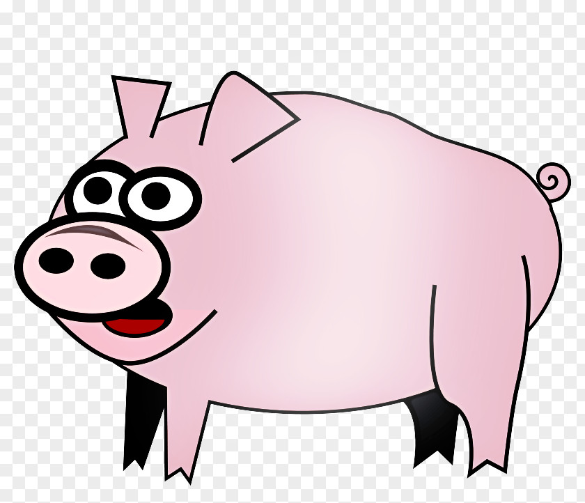 Boar Livestock Pig Cartoon PNG