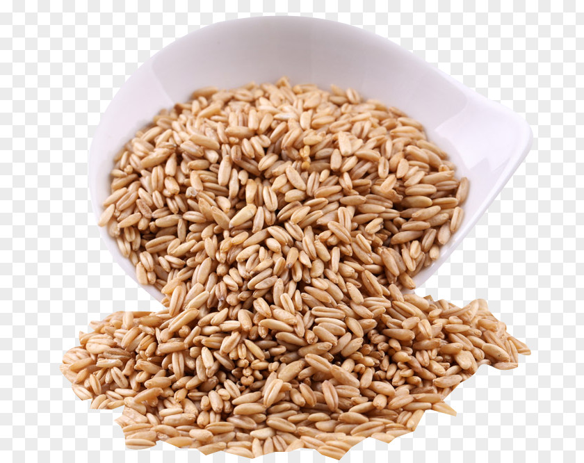 Full Grain Oat Pearl Barley Pull Material Free Organic Food Rice Cereal Chinese Cuisine Spelt PNG