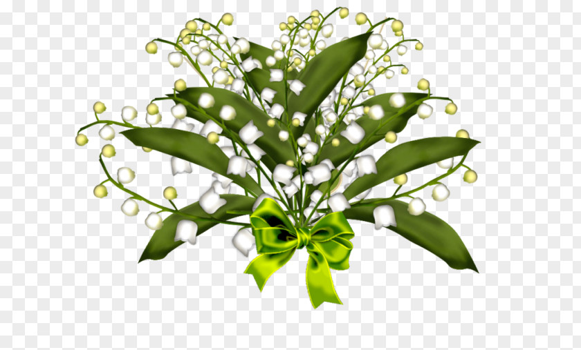 Lily Of The Valley Flower 1 May Plant Stem PNG