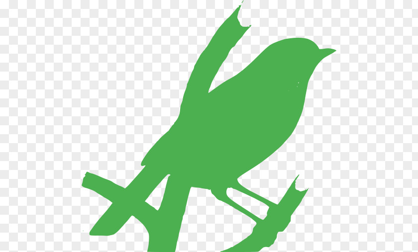 Logo Green Bird PNG
