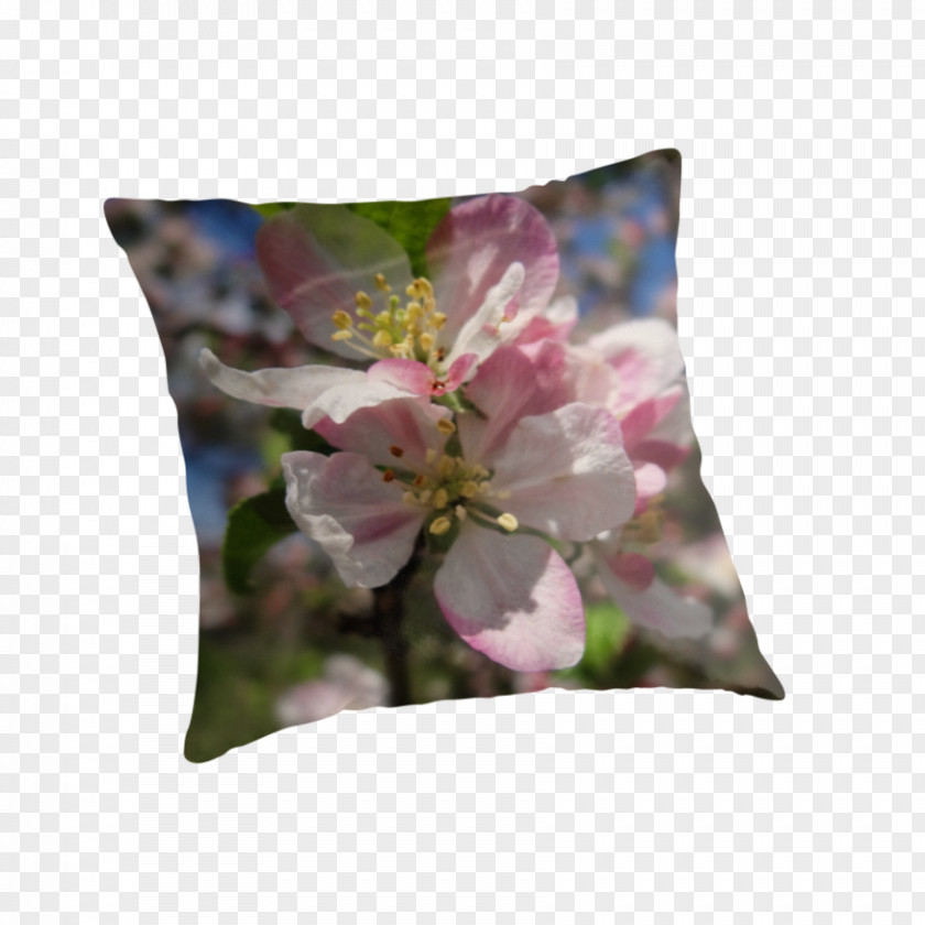 Peach Blossom Throw Pillows Cushion Flower Petal PNG