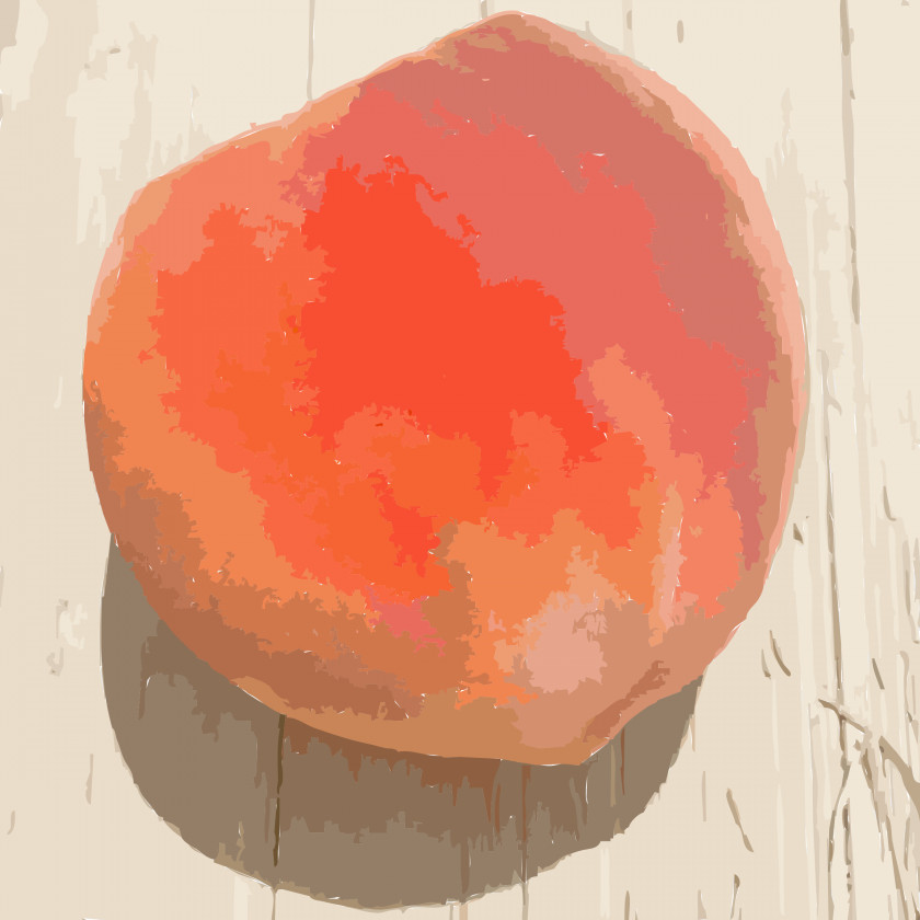 Peach Fruit Missouri Clip Art PNG
