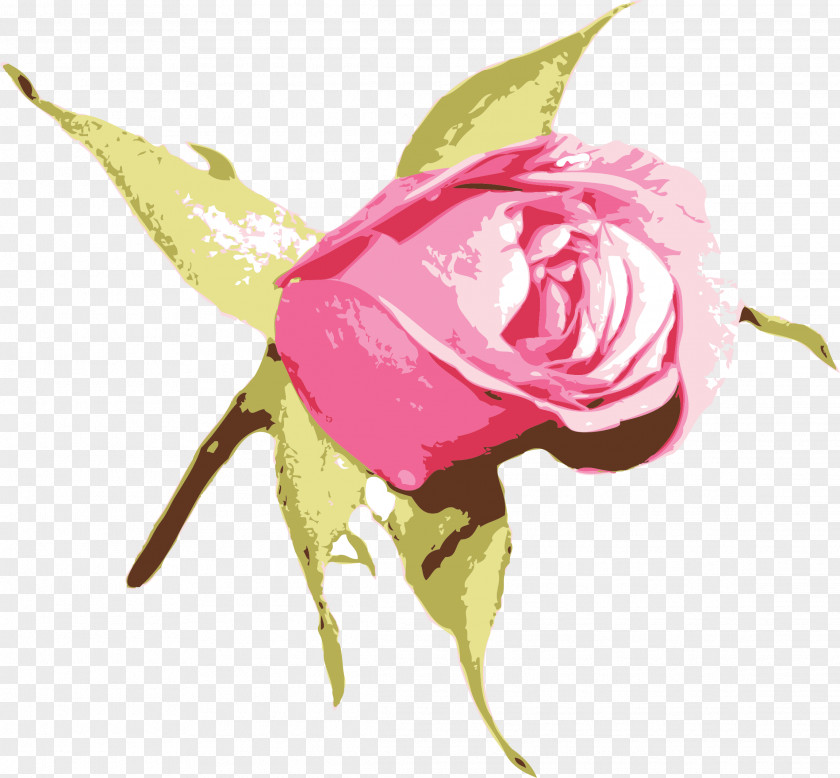 Pink Blue Rose Flower Clip Art PNG