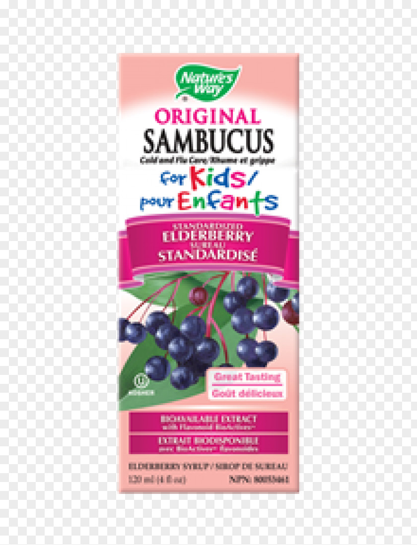 Sambucus Elder Flavor Nature Ounce Extract PNG