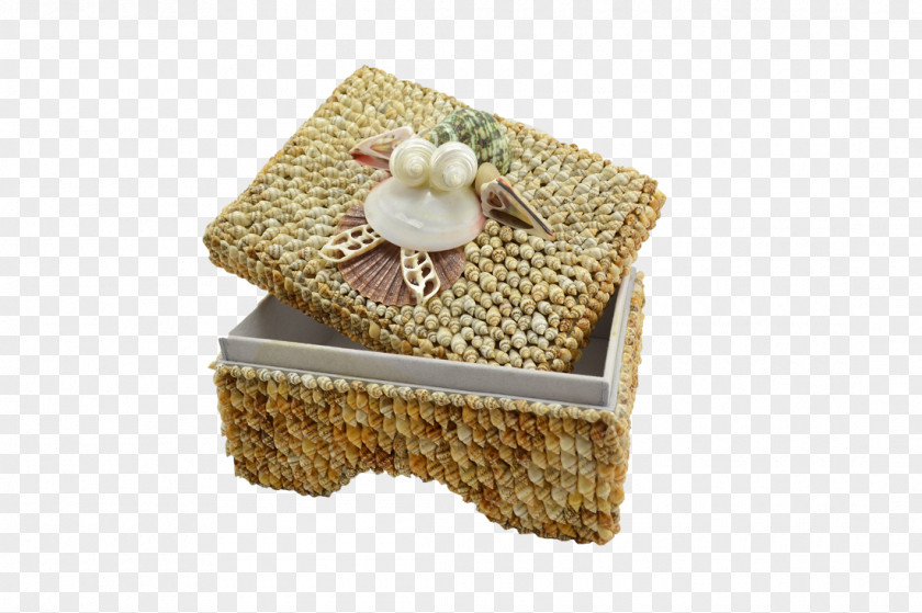 Sand Dollars Nassa Shell Box With Feet 10x7x4