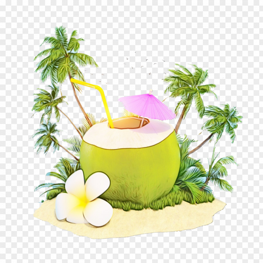 Arecales Palm Tree Coconut Cartoon PNG