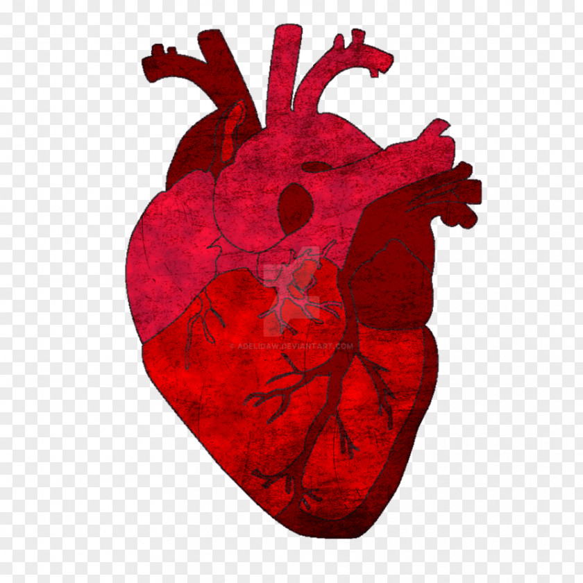 Heart Gray's Anatomy Saatchi Art PNG