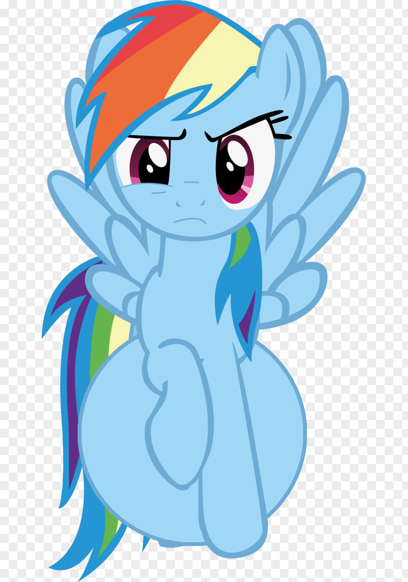 Little Pony Rainbow Dash Horse Photography PNG