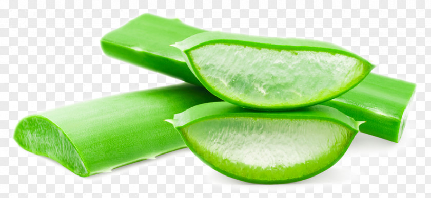 Aloe Vera Forever Living Products Stock Photography Gel PNG