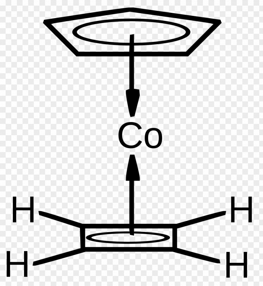 Bird T-shirt Coffee Parrot Cyclobutadiene PNG