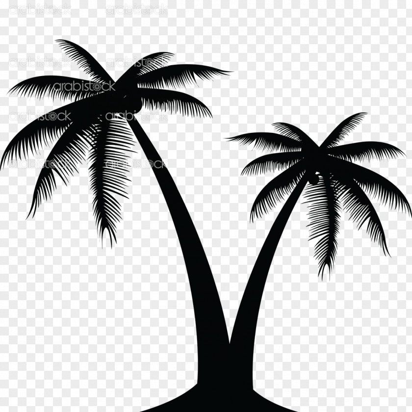 Coconut Vector Graphics Clip Art Palm Trees PNG