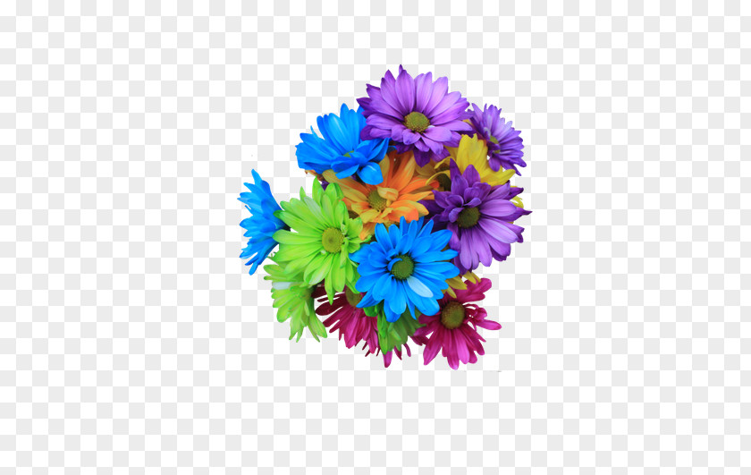 Colorful Daisy Flower Ball Bouquet Clip Art PNG