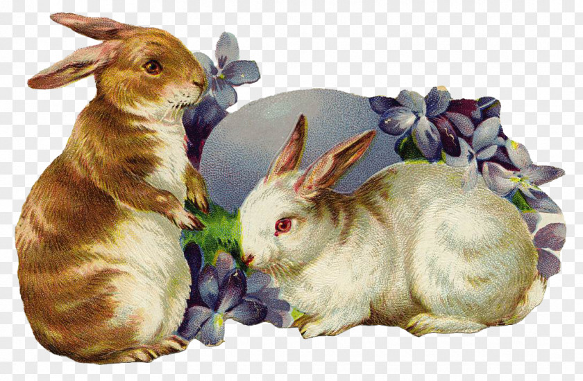 Hare Figurine Easter Egg Background PNG
