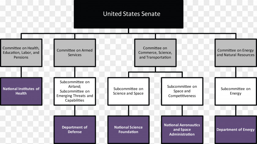 Law Organization Flowchart Senate Committee United States Congress PNG