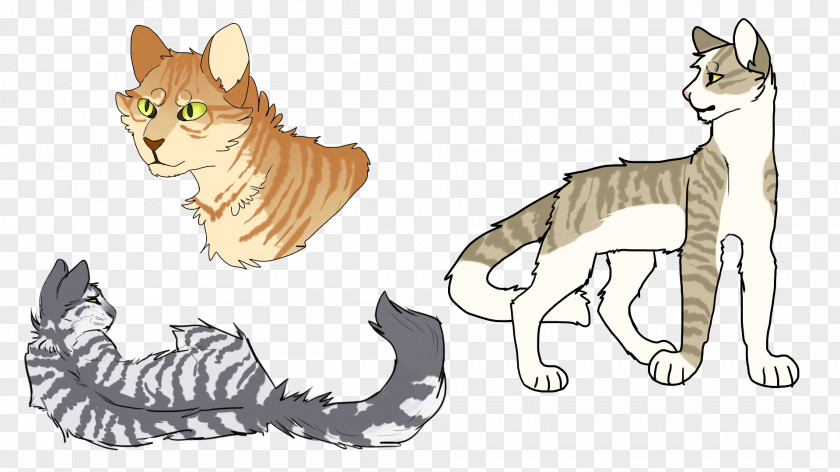 Line Drawing Style Whiskers Kitten Tabby Cat Wildcat Domestic Short-haired PNG