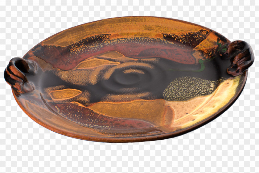 Plate Reptile Ceramic Bowl PNG