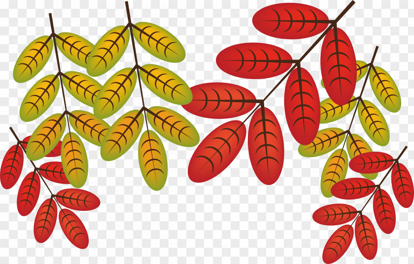 Red Autumn Leaves Leaf Deciduous PNG