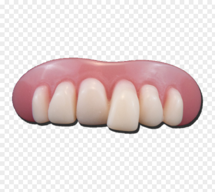 Child Human Tooth Dentures Dentistry Deciduous Teeth PNG