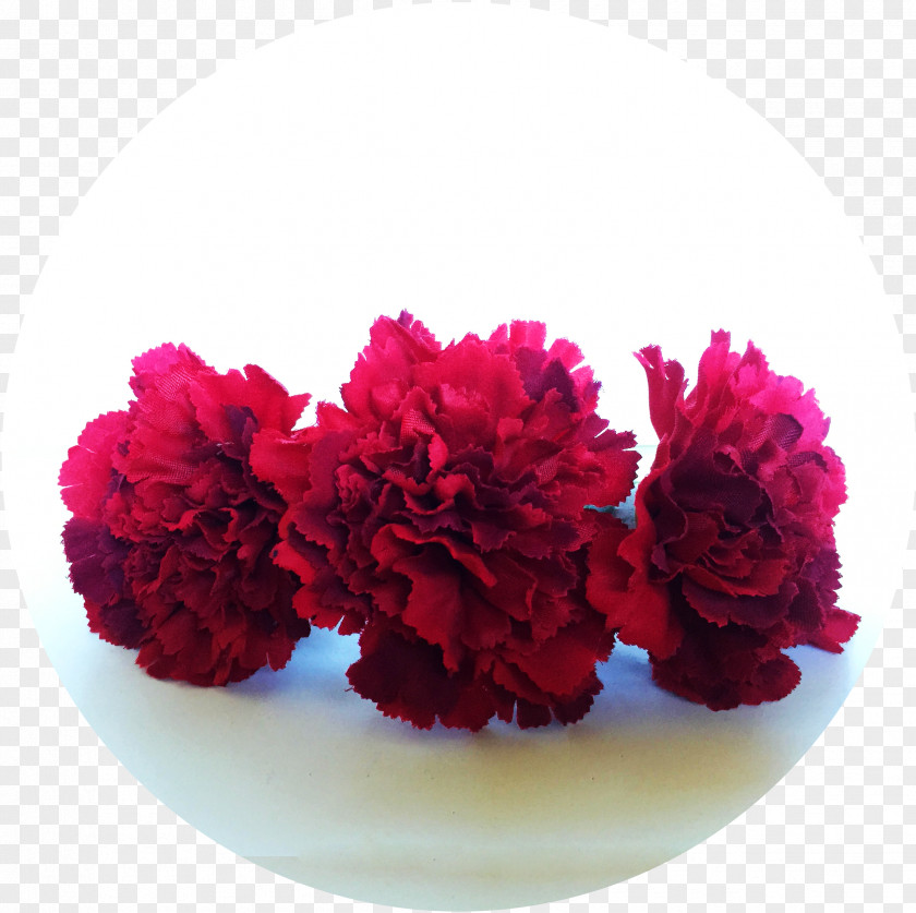 Clavel Carnation Red Cut Flowers Magenta PNG