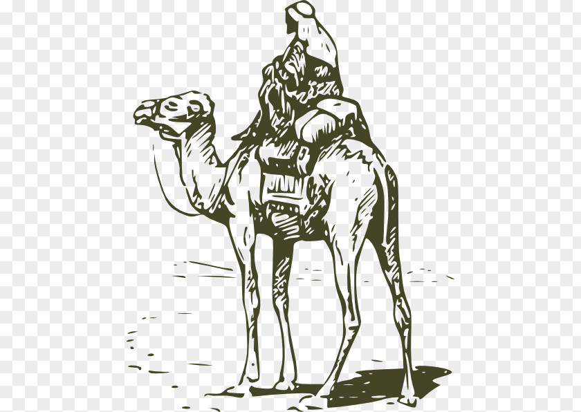 Couple Driver Car Lovely Bactrian Camel Dromedary Horse Clip Art PNG
