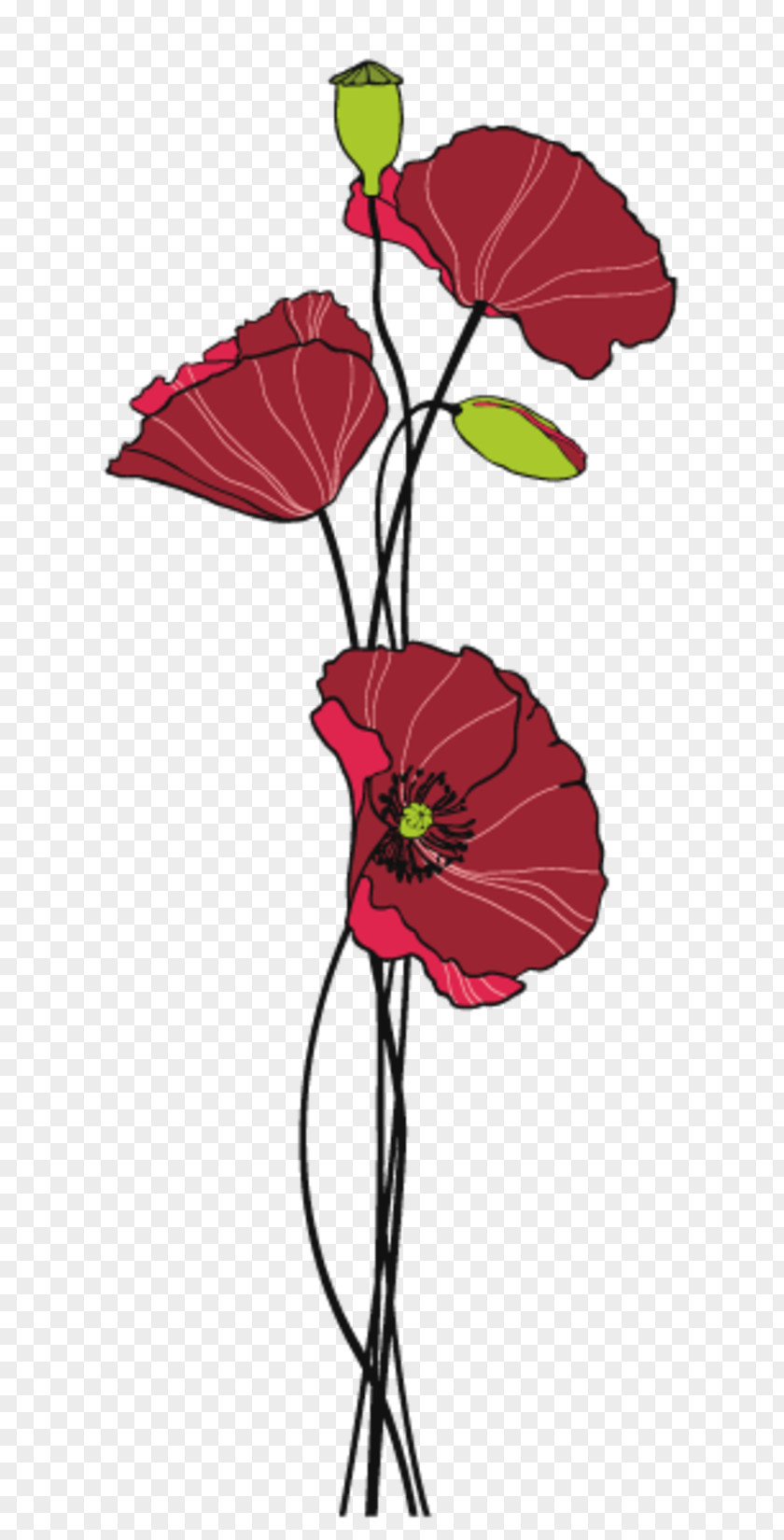 Flower Sticker Painting Common Poppy Image PNG