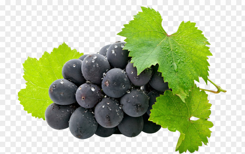 Fragrance Common Grape Vine Fruit Juice Grappa PNG