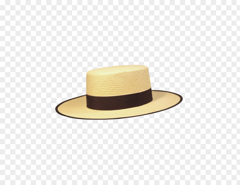 Hat Straw Panama Fashion Dress PNG