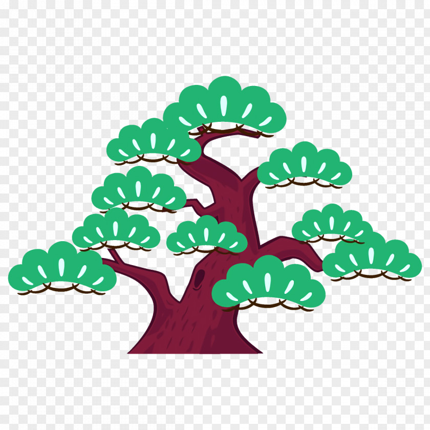 Houseplant Woody Plant Green Tree Leaf Clip Art PNG