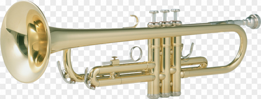 Instrumentos Musicales Trumpet Musical Instruments PNG