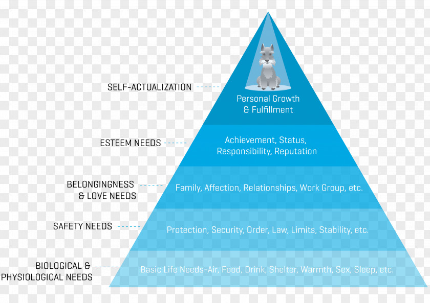 Maslow's Hierarchy Of Needs Fundamental Human Life Motivation PNG