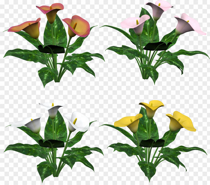 Plants Flower Clip Art PNG