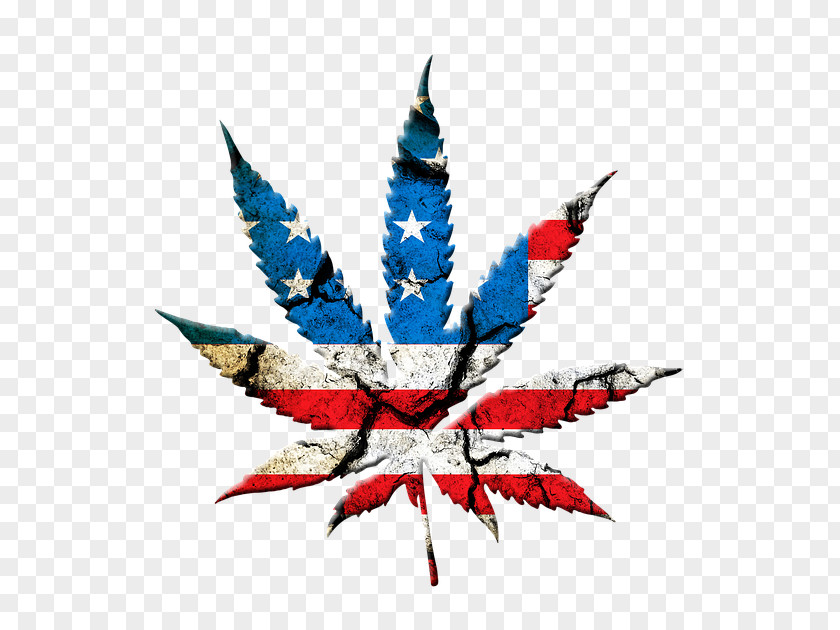 Symmetry Hemp Family Cannabis Leaf Background PNG