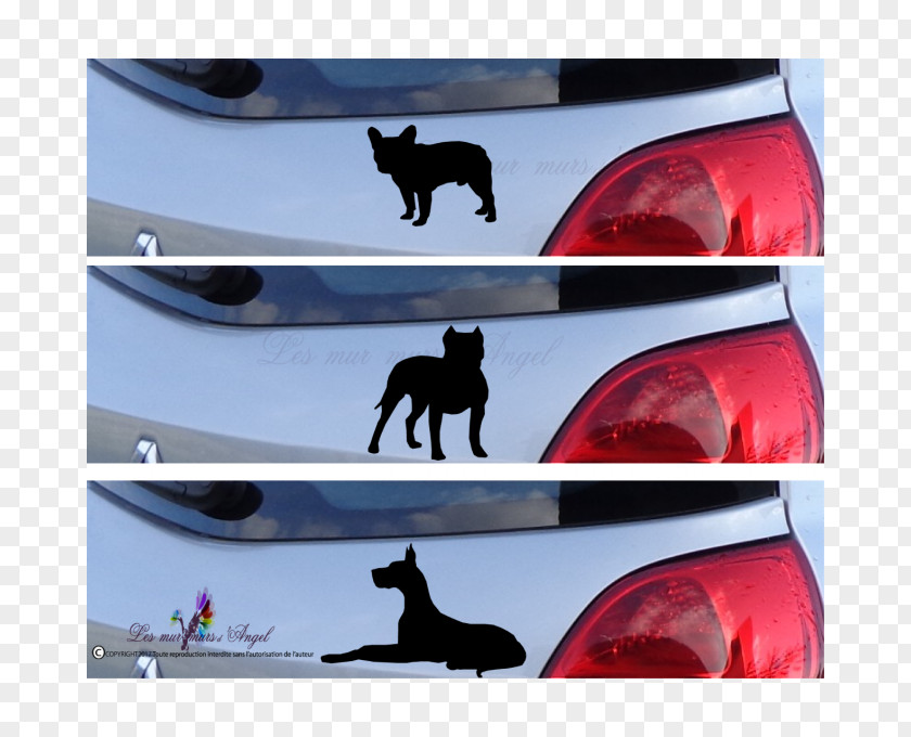 Car Door Border Collie Vehicle License Plates Bumper PNG