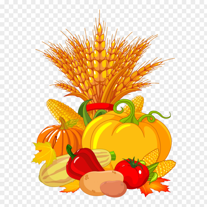 Corn Autumn Harvest Festival Clip Art PNG