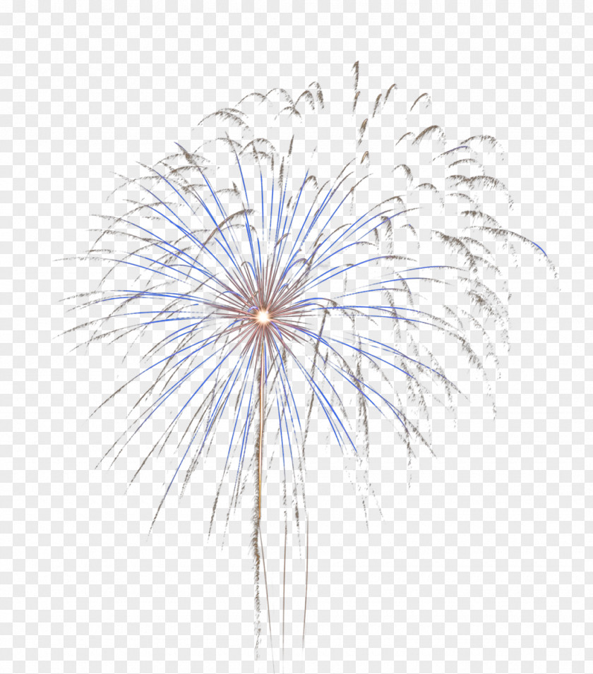 Fireworks Consumer PNG