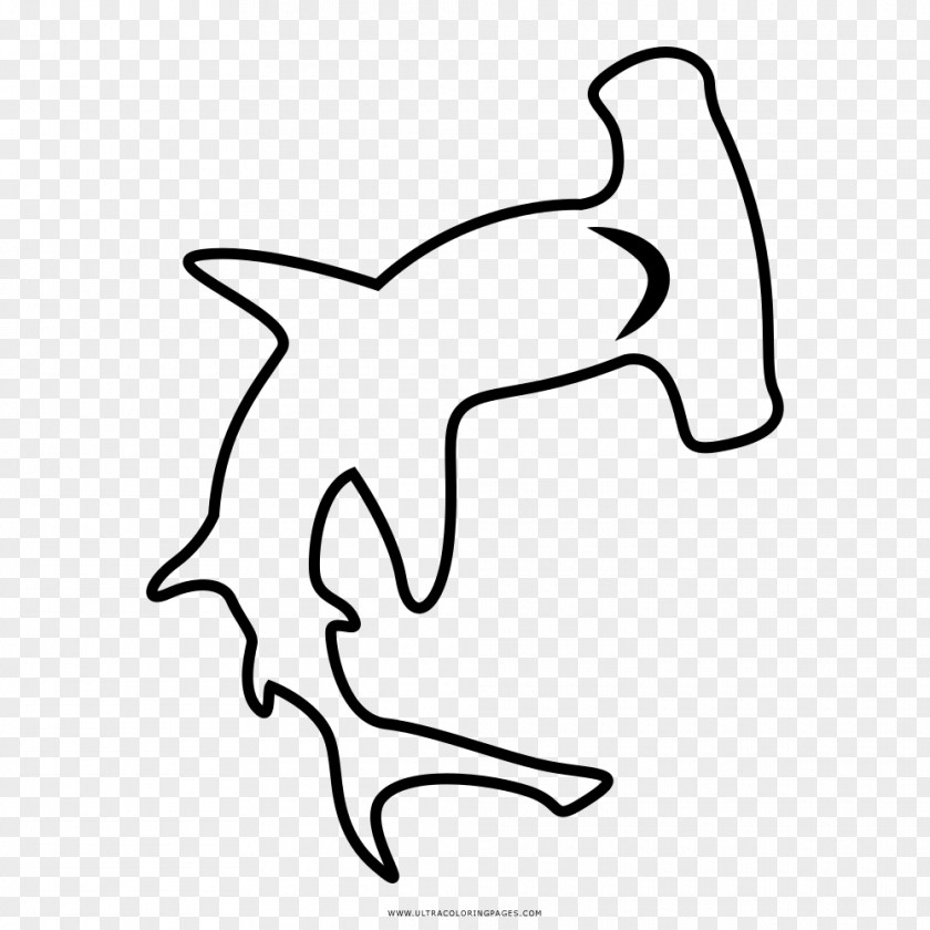Shark Hammerhead Great Drawing Coloring Book PNG