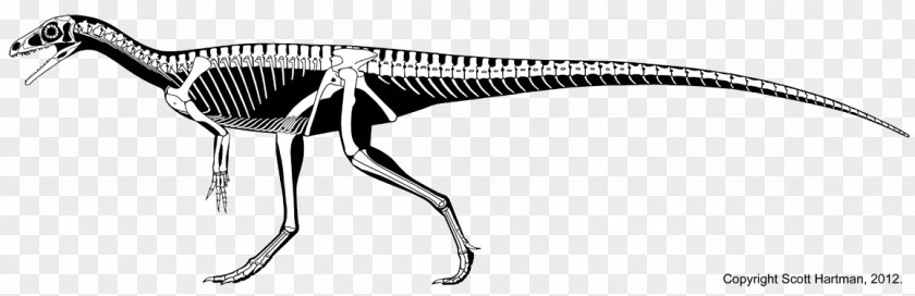 Dinosaur Eoraptor Lunensis Velociraptor Eodromaeus Herrerasaurus Chindesaurus PNG