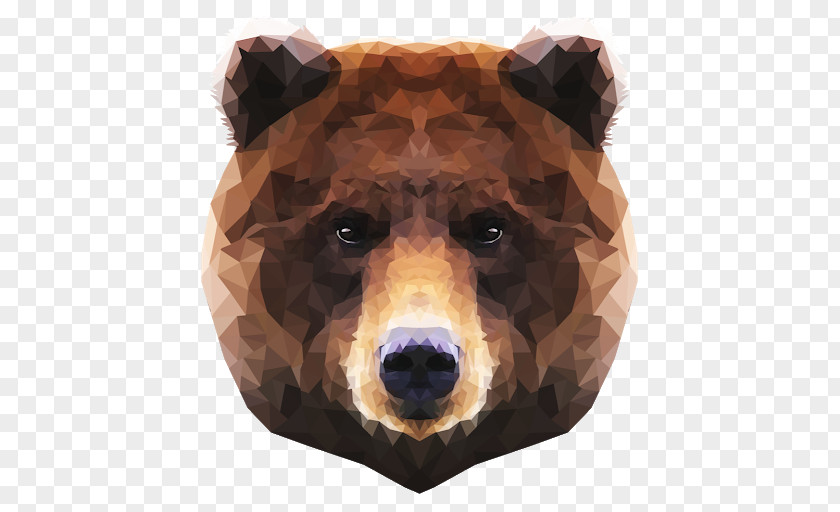 Low Poly Bear Drawing PNG