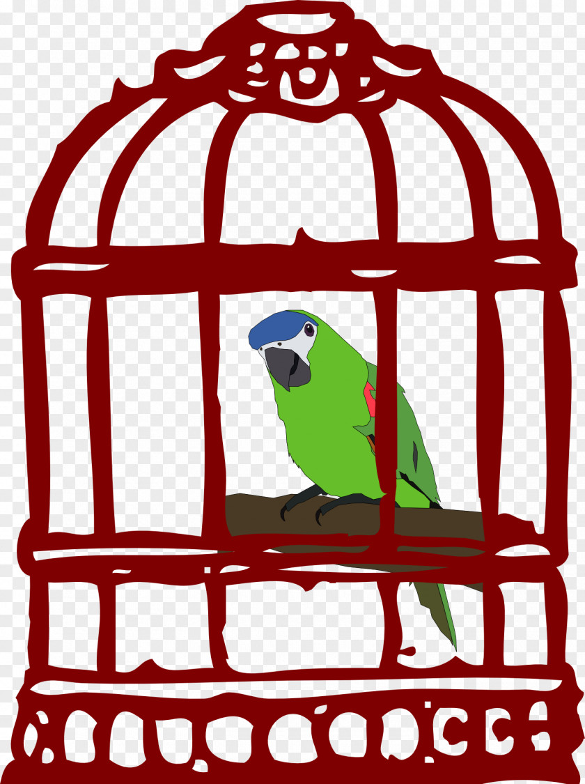 Parrot Clip Art Birdcage Openclipart PNG