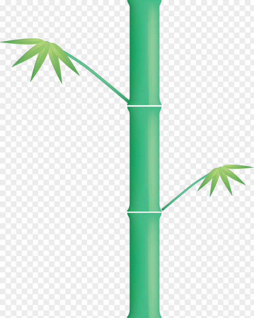 Bamboo Leaf PNG