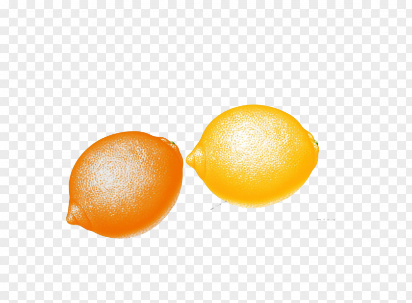 Double Lemon Clementine Tangerine Mandarin Orange Tangelo PNG