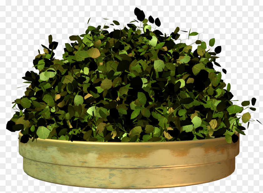 Flower Bed Plant Flowerpot Icon PNG