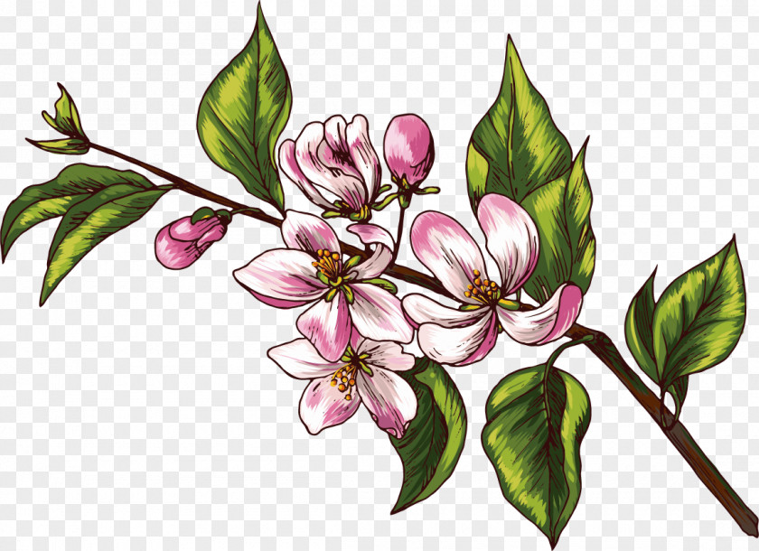 Flower Plant Pink Branch Petal PNG