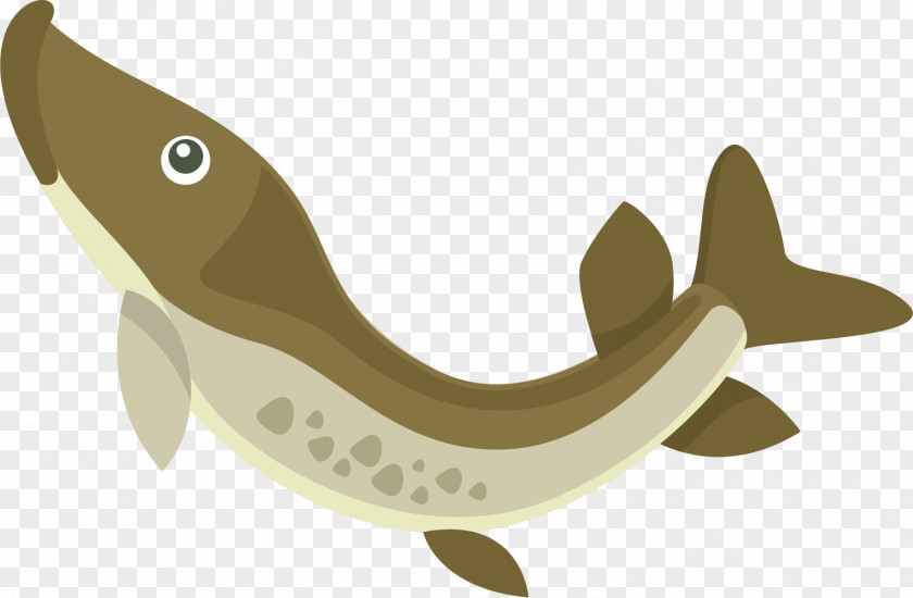 Gray Fish Illustration PNG
