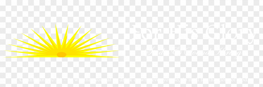 Photography Logo Petal Flower Yellow Desktop Wallpaper Sky PNG